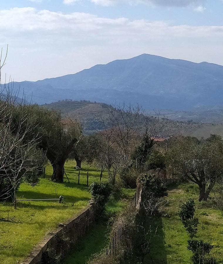 Vila Azienda Agricola Cafaro Grazia - Cilens Aurea Vallo della Lucania Exteriér fotografie