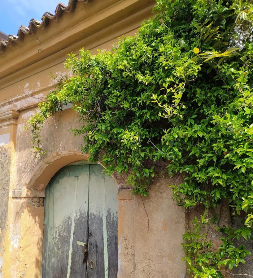 Vila Azienda Agricola Cafaro Grazia - Cilens Aurea Vallo della Lucania Exteriér fotografie